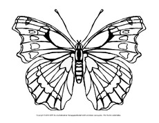 Ausmalbild-Schmetterling 7.pdf